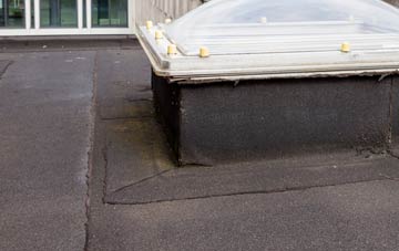 disadvantages of Hunsdon flat roofs
